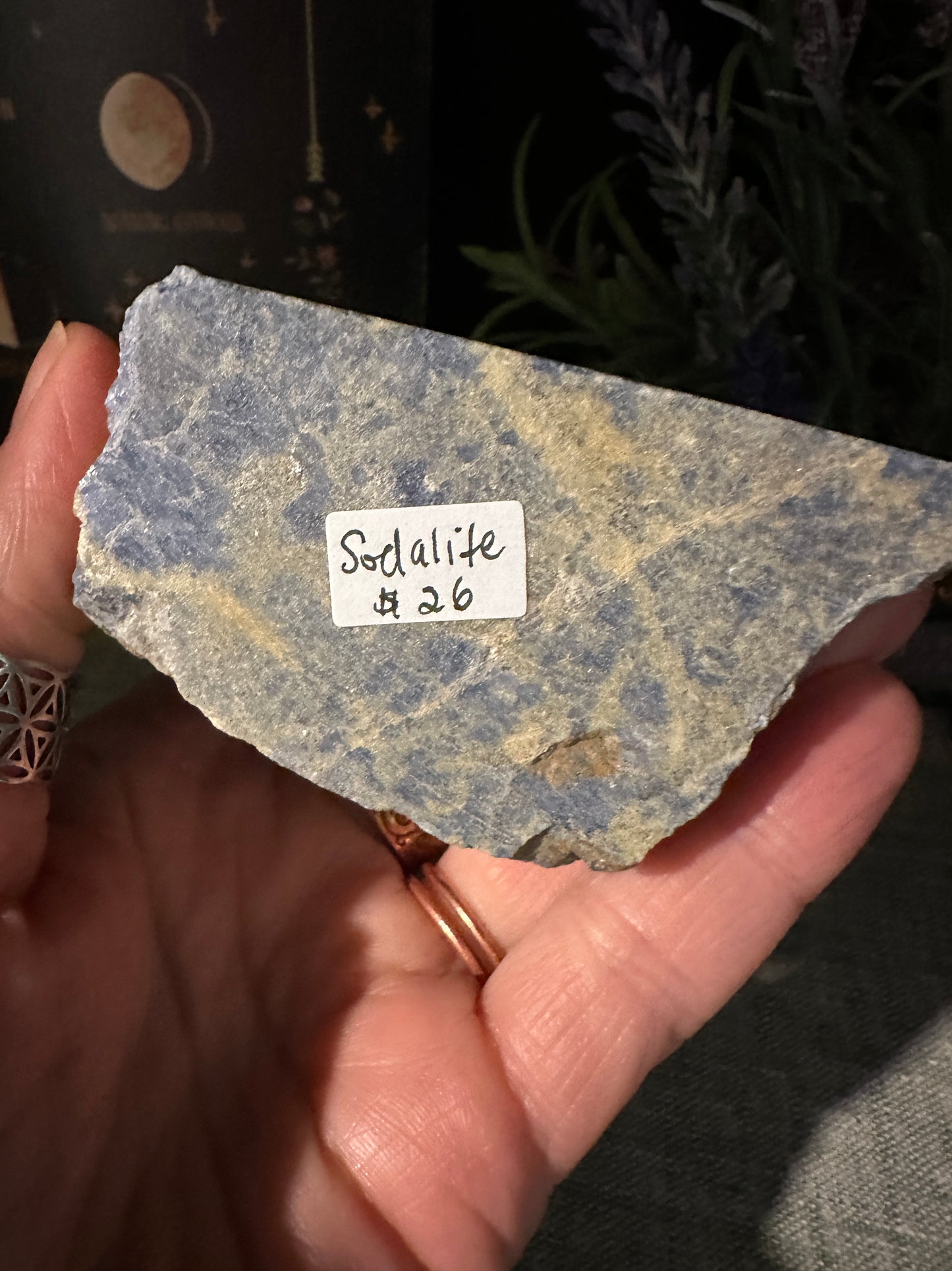 Sodalite Top Polished Points