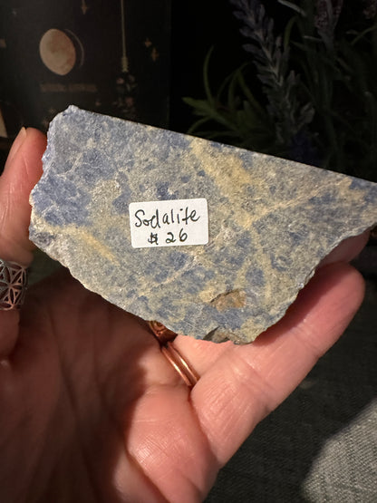 Sodalite Top Polished Points
