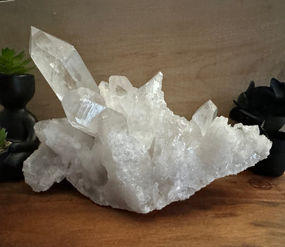 Lemurian Quartz Cluster 1911g
