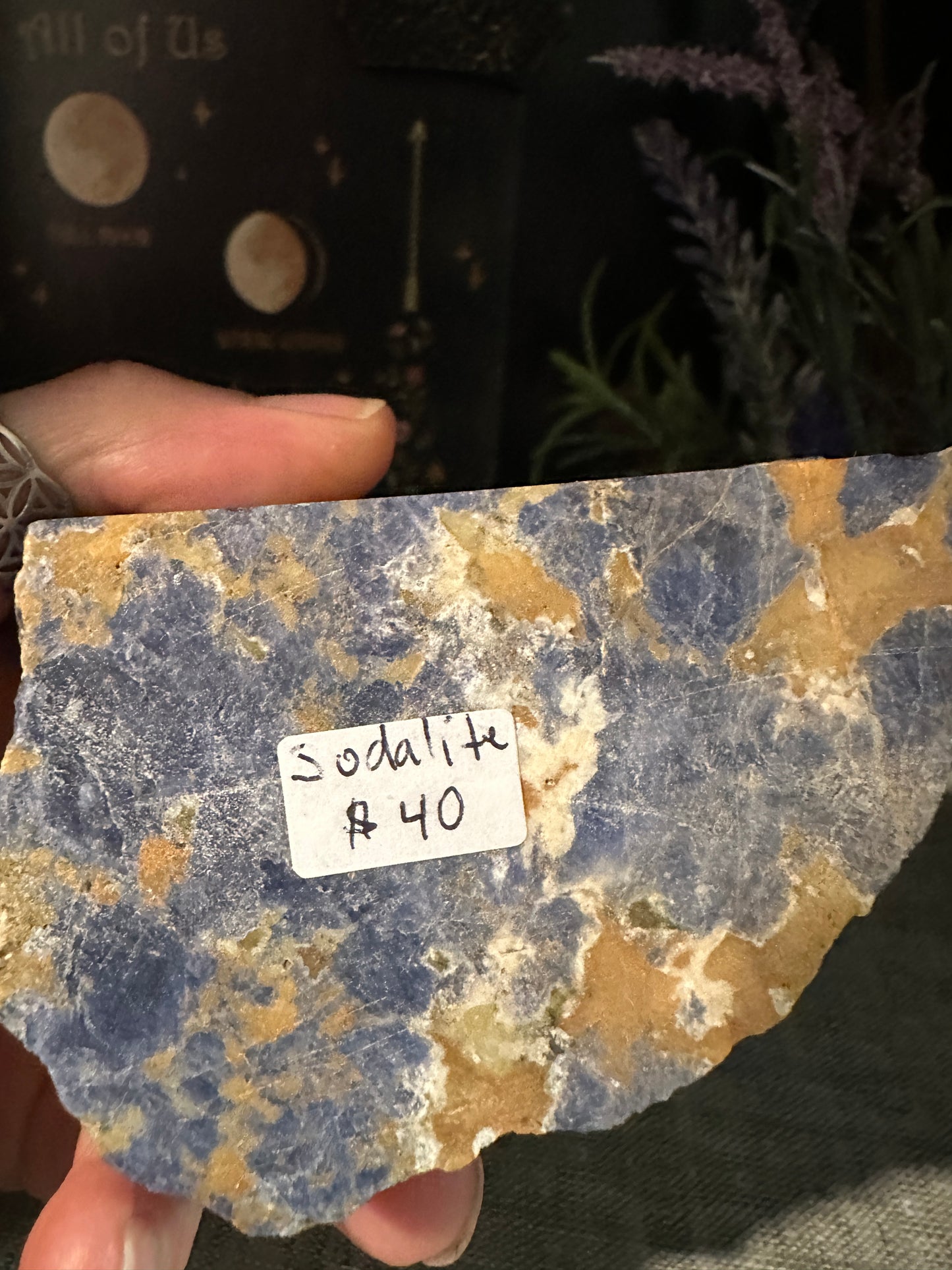 Sodalite Top Polished Points