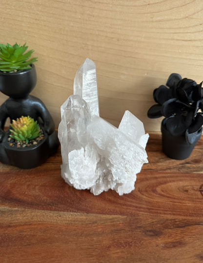 Lemurian Quartz Cluster 687g