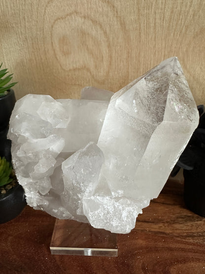 Lemurian Quartz Cluster 620g