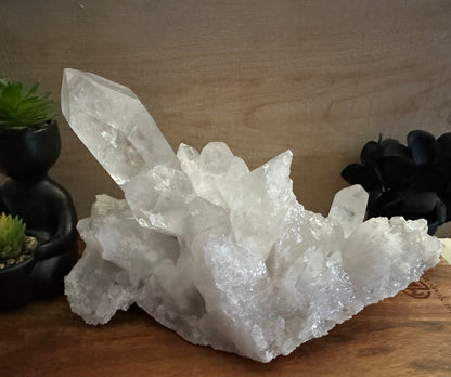 Lemurian Quartz Cluster 1911g