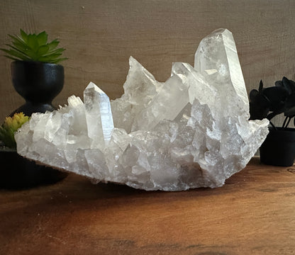 Lemurian Quartz Cluster 1911g