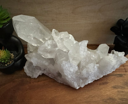 Lemurian Quartz Cluster 1911g
