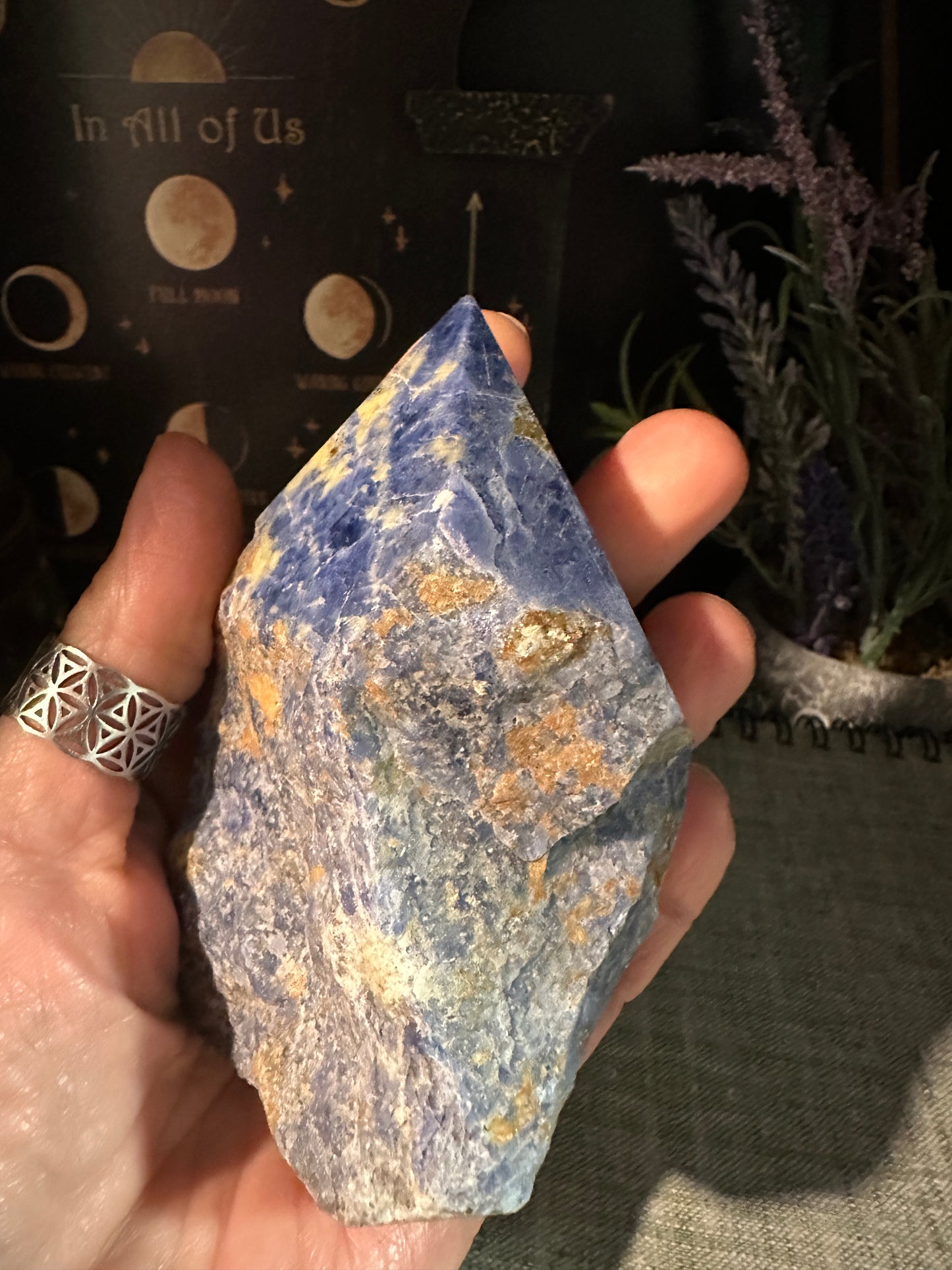 Sodalite Top Polished Points