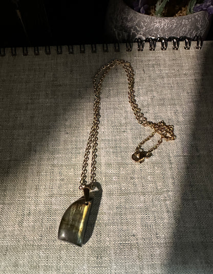 Labradorite necklace (b2)