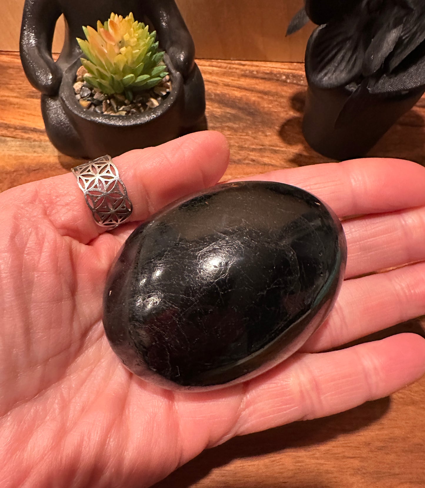 Black Tourmaline Palm Stone