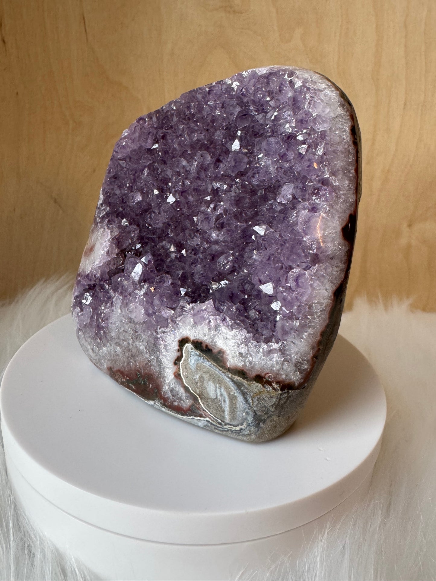 Amethyst Geode 650g