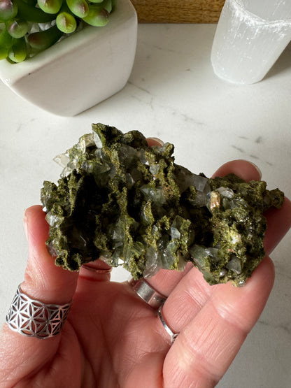 Forest Epidote and Quartz 91g