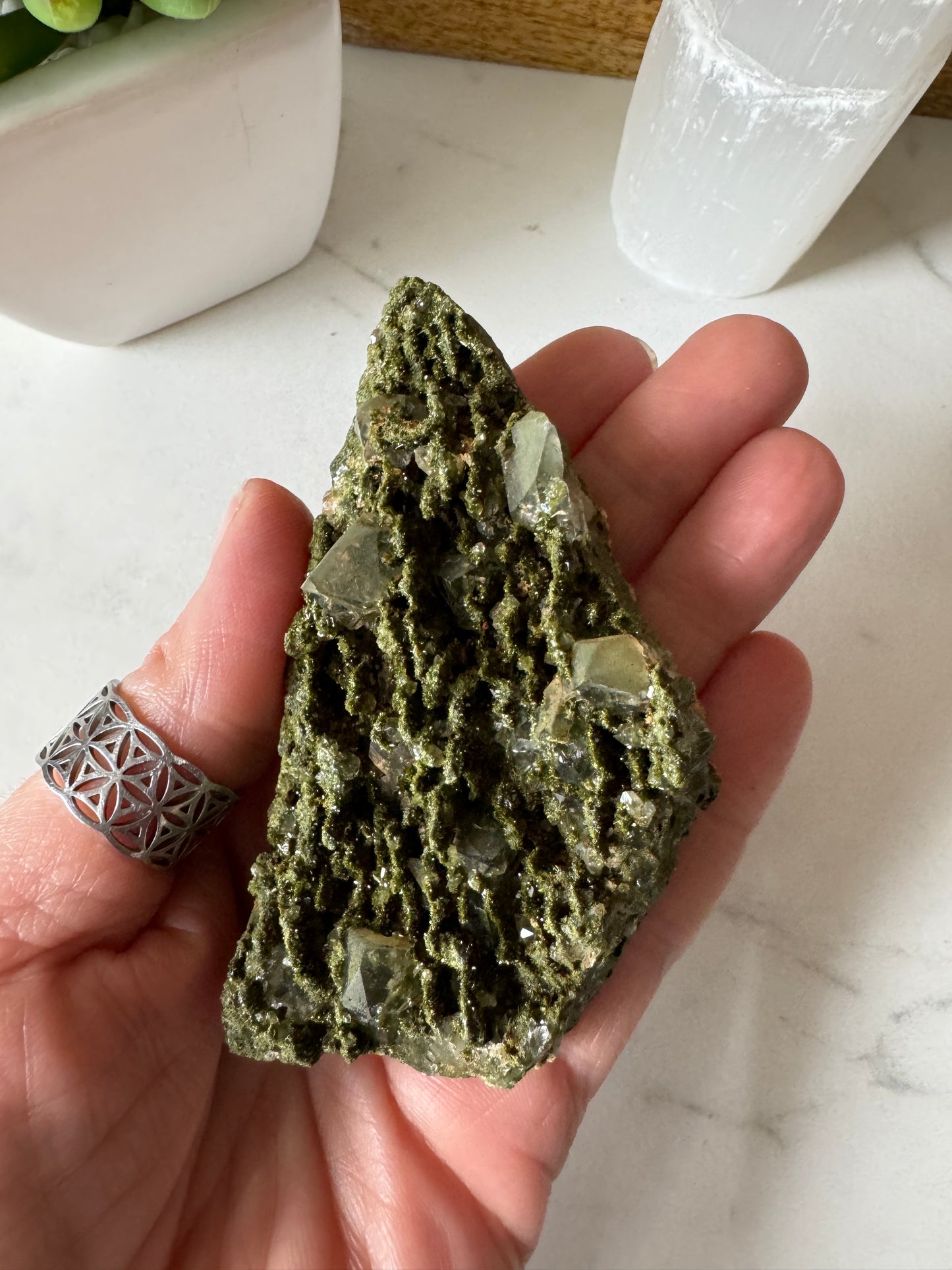 Forest Epidote and Quartz 132g