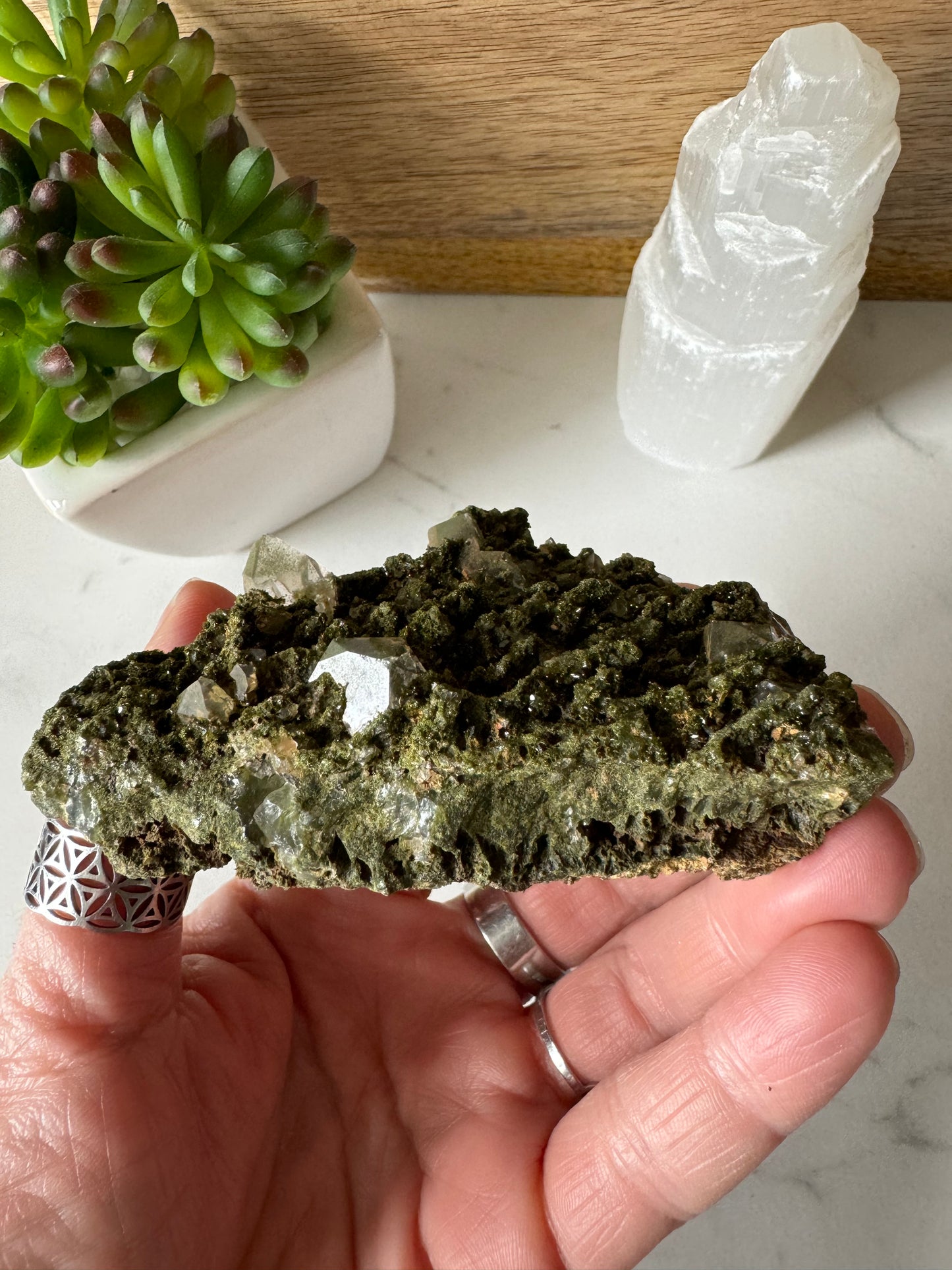 Forest Epidote and Quartz 132g