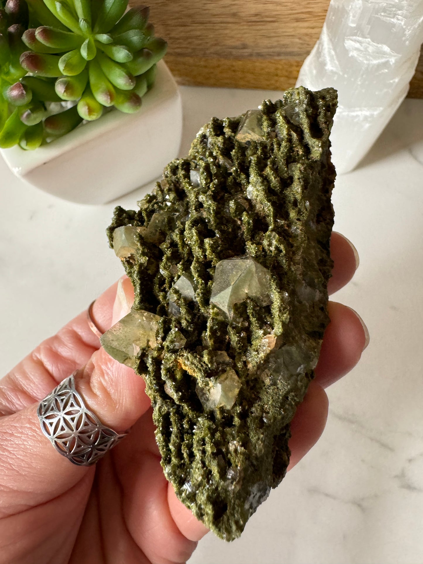 Forest Epidote and Quartz 132g