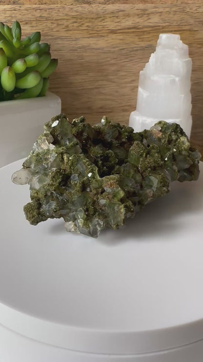 Forest Epidote and Quartz 91g